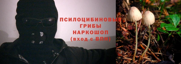 спайс Алексеевка