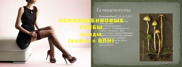 спиды Абдулино