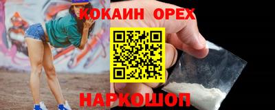 шишки Дубна