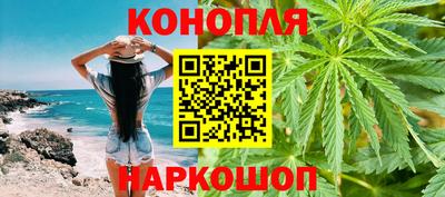 шишки Дубна