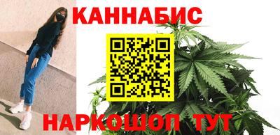 шишки Дубна