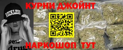 шишки Дубна