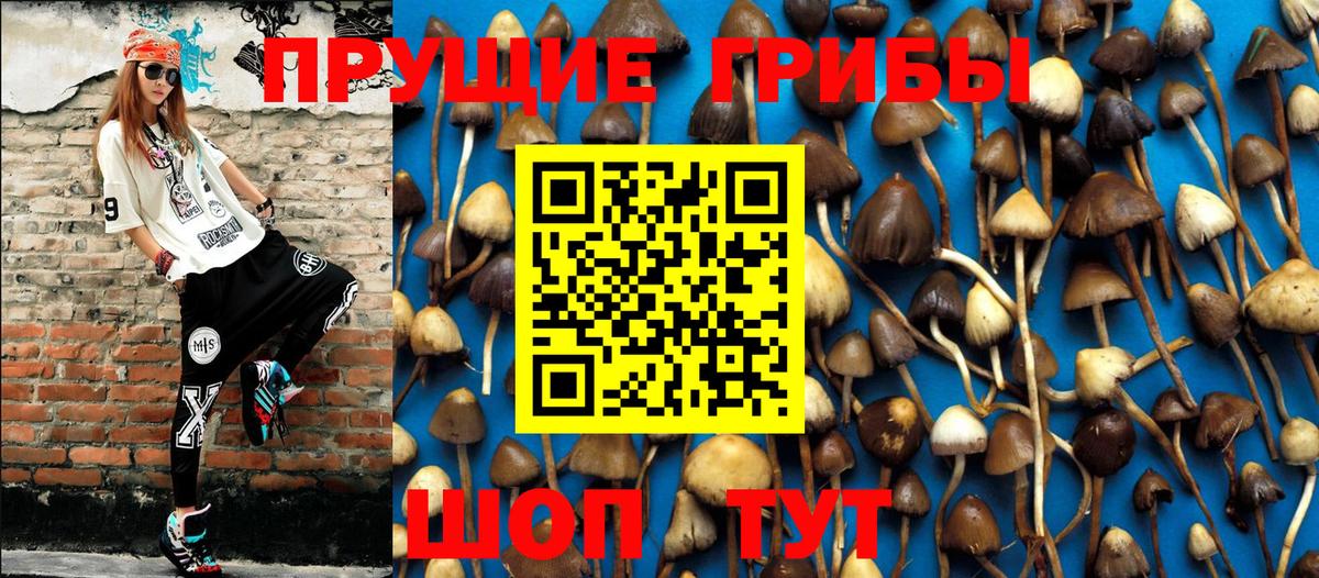 Галлюциногенные грибы GOLDEN TEACHER Нальчик