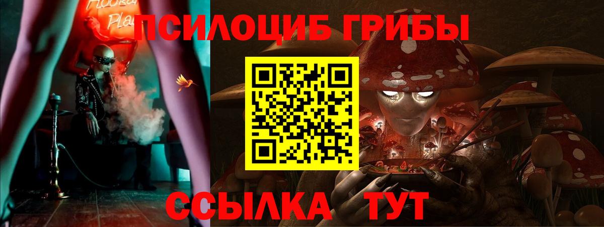 Галлюциногенные грибы Cubensis  Вход с VPN  Нальчик 